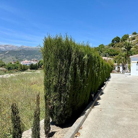 Bed & Breakfast Casa Del Palta Canillas de Albaida Ngoại thất bức ảnh