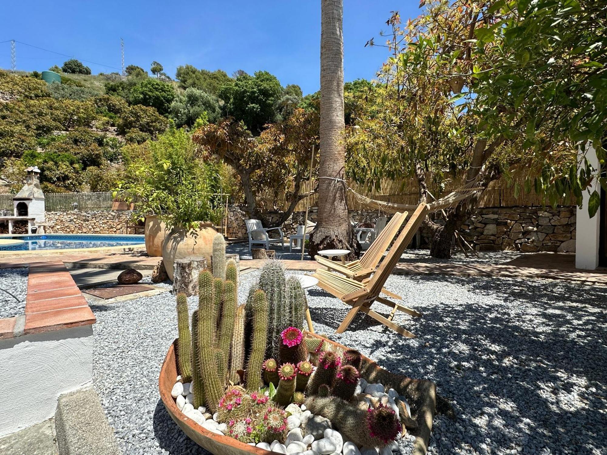 Bed & Breakfast Casa Del Palta Canillas de Albaida Ngoại thất bức ảnh