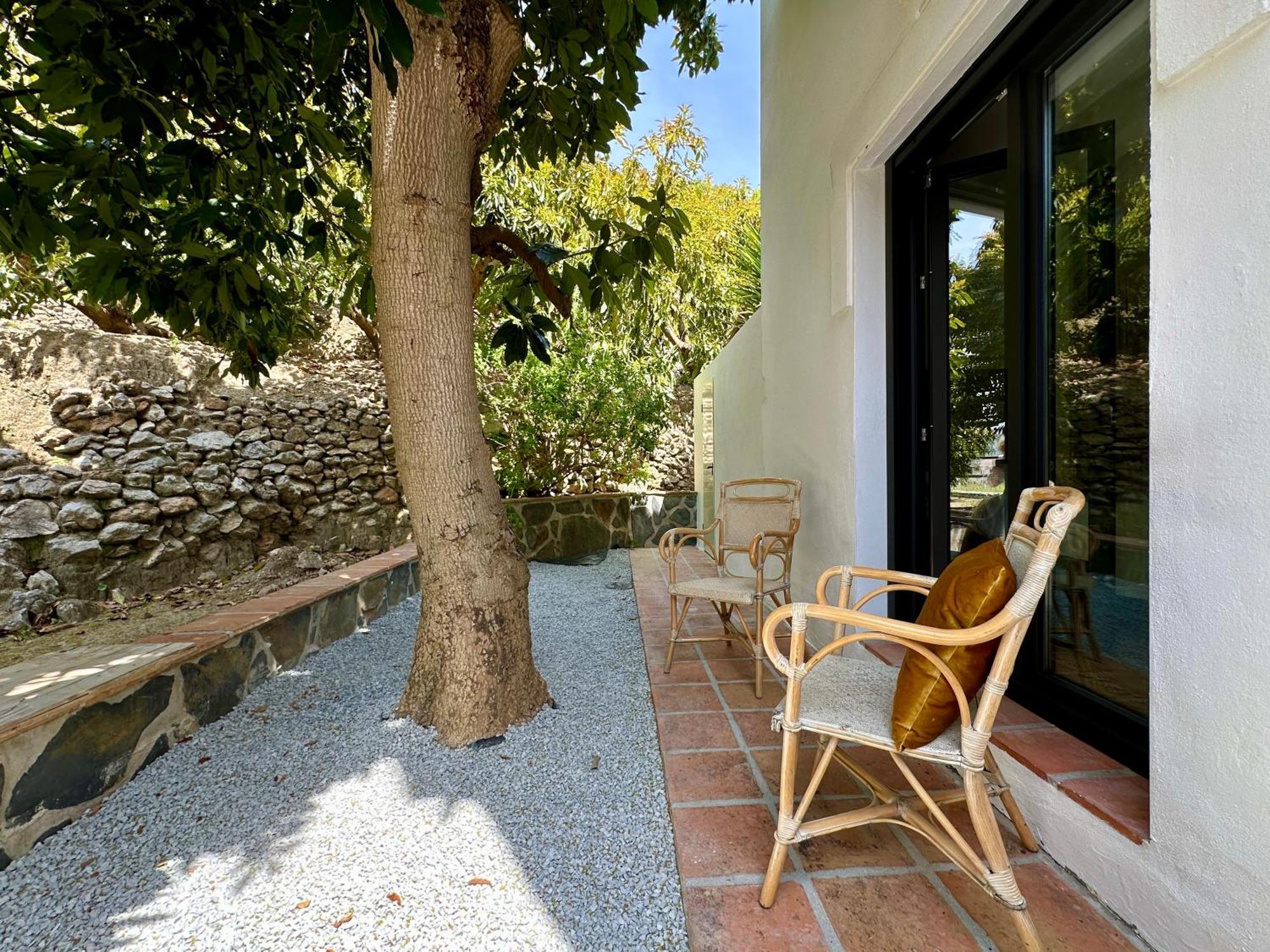 Bed & Breakfast Casa Del Palta Canillas de Albaida Ngoại thất bức ảnh